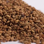 Fenugreek03