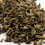 fennel03