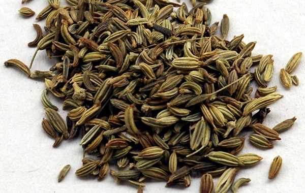 fennel03