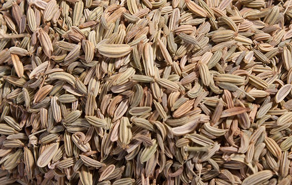 fennel