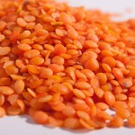 lentils02