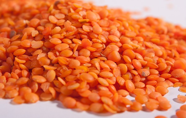 lentils02