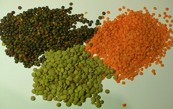 lentils03