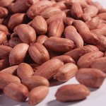 penuts-f