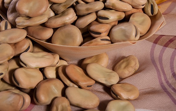 broad-beans02