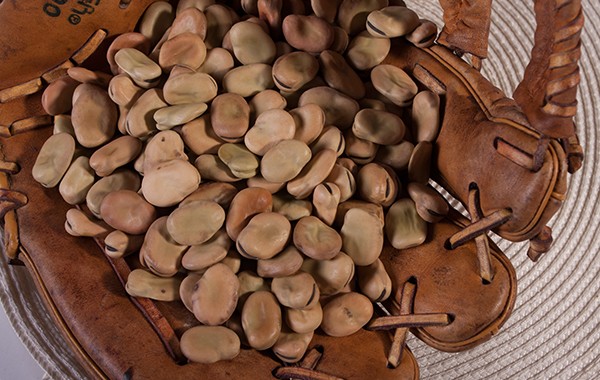 broad-beans03